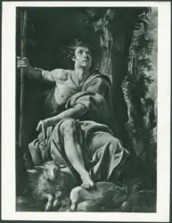 D'Enrico Antonio (Tanzio da Varallo) - sec. XVII - San Giovanni Battista con l'agnello