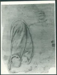 D'Enrico Antonio (Tanzio da Varallo) - sec. XVII - Studio di panneggio