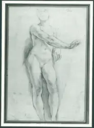 D'Enrico Antonio (Tanzio da Varallo) - sec. XVII - Studio di nudo maschile