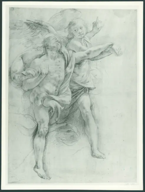 D'Enrico Antonio (Tanzio da Varallo) - sec. XVII - Studio di angelo e santo