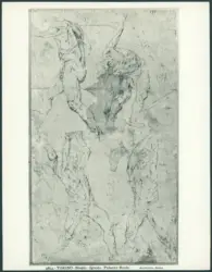 Torino - Studio - Ignoto - Palazzo Reale