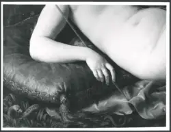 Turchi Alessandro (Orbetto) - sec. XVII - Venere e Amore