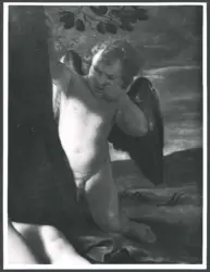 Turchi Alessandro (Orbetto) - sec. XVII - Venere e Amore