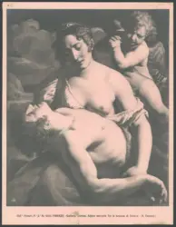 Venere piange la morte di Adone