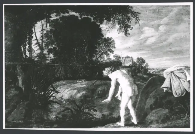 Narciso (?)