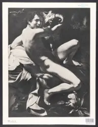 Merisi Michelangelo (Caravaggio) - sec. XVII - San Giovanni Battista