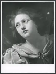 Vouet Simon (studio di); Vouet Aubin (?) - sec. XVII - Testa di donna