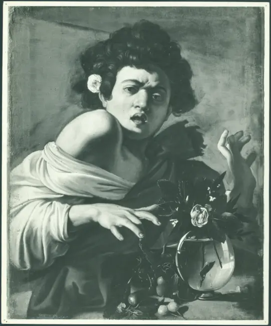 Ragazzo morso da un ramarro