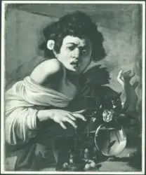 Ragazzo morso da un ramarro