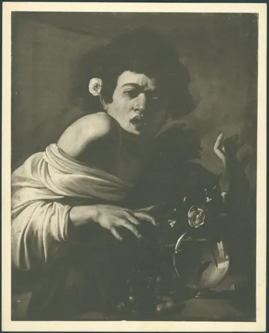 Merisi Michelangelo (Caravaggio) - sec. XVI - Ragazzo morso da un ramarro