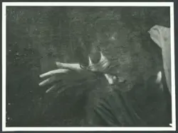 Merisi Michelangelo (Caravaggio) - sec. XVII - Deposizione di Cristo nel sepolcro