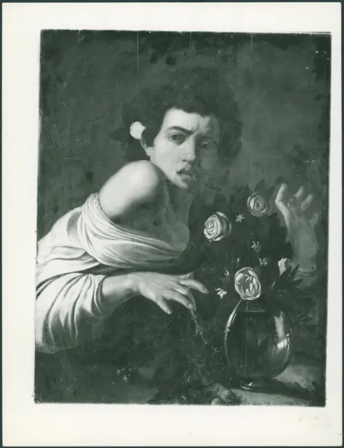 Merisi Michelangelo (Caravaggio) - sec. XVI - Ragazzo morso da un ramarro