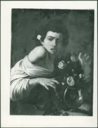 Ragazzo morso da un ramarro