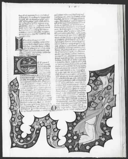 Miniatore della Bibbia di Corradino - sec. XIII - Bibbia di Corradino