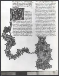 Miniatore della Bibbia di Corradino - sec. XIII - Bibbia di Corradino