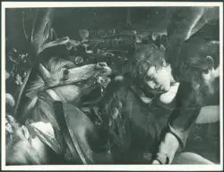 Merisi Michelangelo (Caravaggio) - sec. XVI - Conversione di san Paolo