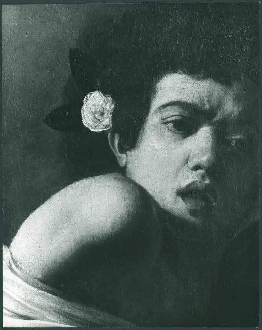 Merisi Michelangelo (Caravaggio) - copia da - sec. XVII - Ragazzo morso da un ramarro