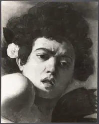 Merisi Michelangelo (Caravaggio) - copia da - sec. XVII - Ragazzo morso da un ramarro