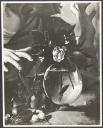 Merisi Michelangelo (Caravaggio) - sec. XVI - Ragazzo morso da un ramarro