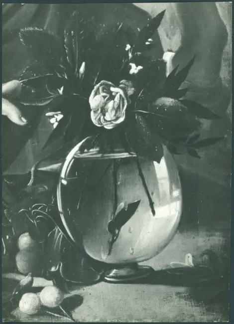 Merisi Michelangelo (Caravaggio) - sec. XVI - Ragazzo morso da un ramarro