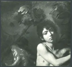 Merisi Michelangelo (Caravaggio) - sec. XVII - San Giovanni Battista nel bosco